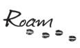 Roam Transit