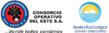 Consorcio Operativo del Este S.A.
