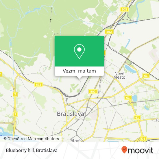 Blueberry hill mapa